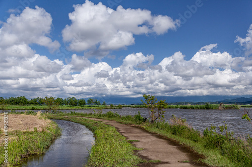 Wallpaper Mural 新潟　初夏の福島潟 Torontodigital.ca