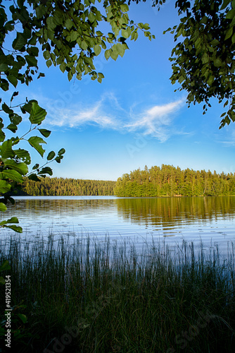 Lake in the forest