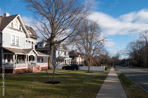 Εκτύπωση καμβά street and sidewalk of suburban homes with leafless late fall winter season tree