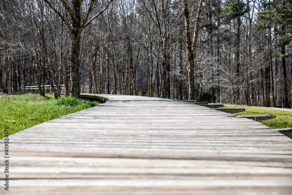 empty wooden boardwalk path empty wooden boardwalk path