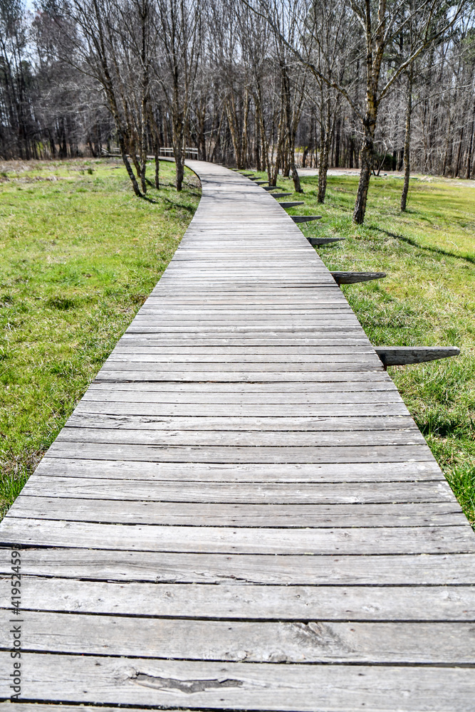 empty wooden boardwalk path