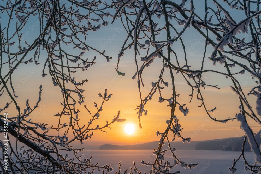 Fototapeta premium Winter sunrise and tree branches covered with frost
