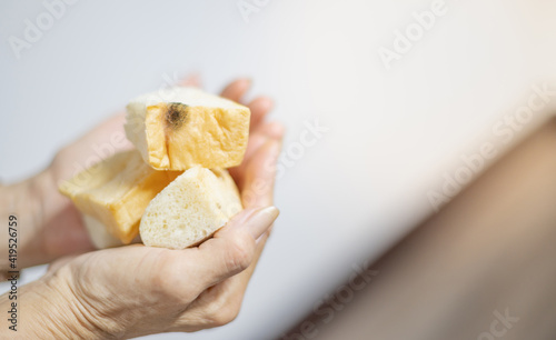 Female hand holding mould growing old bread that cannot eat, it expired not good for health.