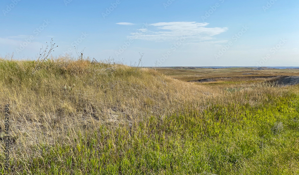 Badlands South Dakota grasslands
