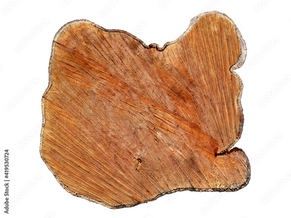 Wood cut board background isolated or sign obsolete texture. Timber gray wood piece. Wooden grain board background grunge stump desk. Brown rough wood board as signboard top view overhead, copy space Wood cut board background isolated or sign obsolete texture. Timber gray wood piece. Wooden grain board background grunge stump desk. Brown rough wood board as signboard top view overhead, copy space