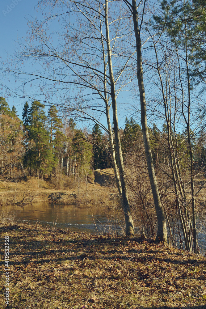 Nature wakes up. Bare trees on the banks of the river. Spring be Nature wakes up. Bare trees on the banks of the river. Spring be