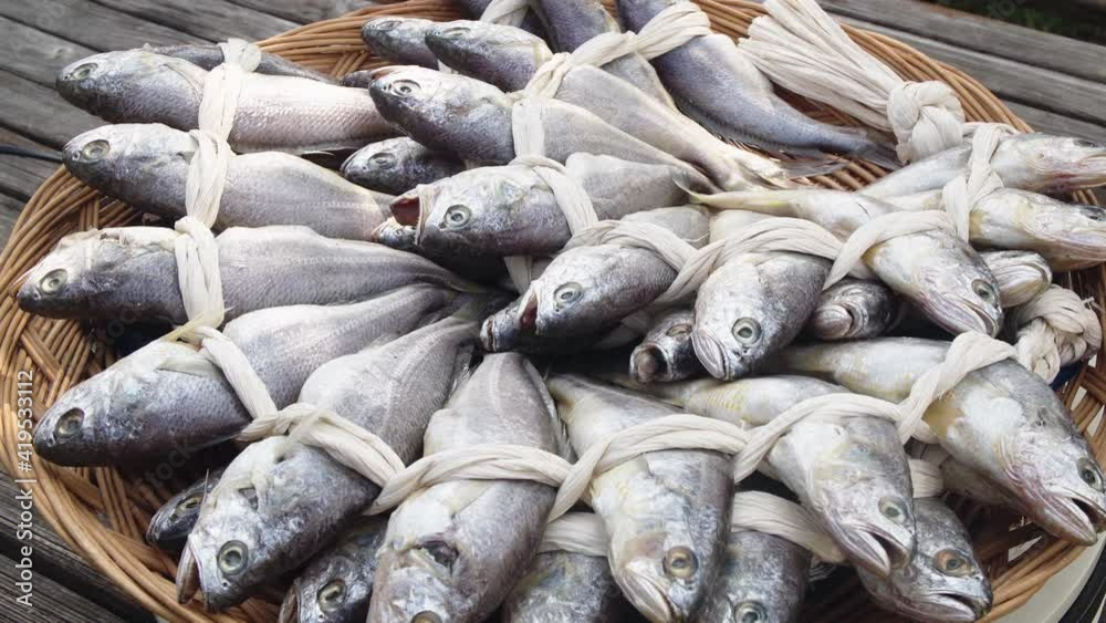 IF - dried yellow corvina/굴비/영광굴비/조기/いしもち/黄花鱼
