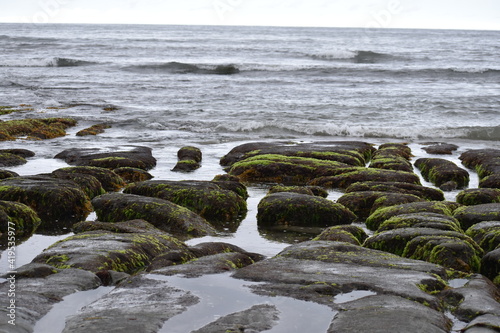 Rocks at Low tide © Emily