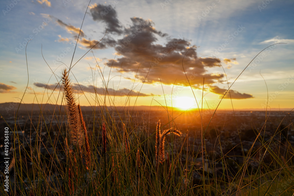 Fototapeta premium Sunset lights on the cloudy sky through grass