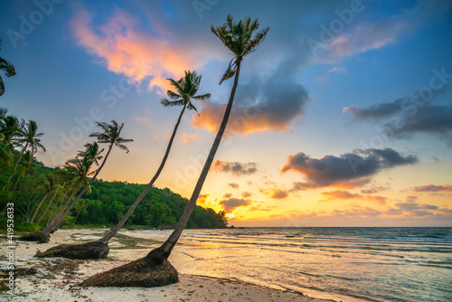 Dawn on a deserted beach with beautiful leaning coconut trees facing the sea and a beautiful dramatic sky emerald Phu Quoc island, Vietnam