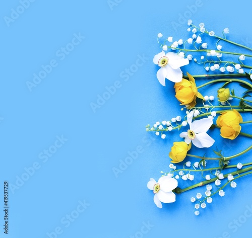 Yellow flowers of trolius europaeus, white daffodils and lilies of the valley on a blue background. Bright color. Background for spring greeting cards, invitations photo