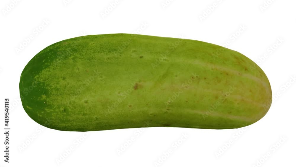 Realistic render of a rolling Emerald White Cucumber on white background. The video is seamlessly looping, and the 3D object is scanned from a real cucumber.
Realistic render of a rolling Emerald White Cucumber on white background. The video is seamlessly looping, and the 3D object is scanned from a real cucumber.