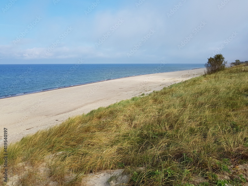 Sand dunes overgrown with green grass