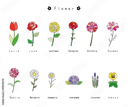 花のイラスト素材セット　カラフル