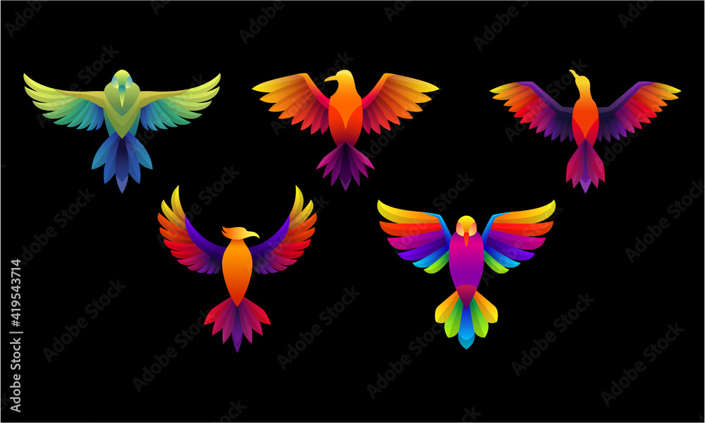 Obraz premium Set of vibrant bird vector