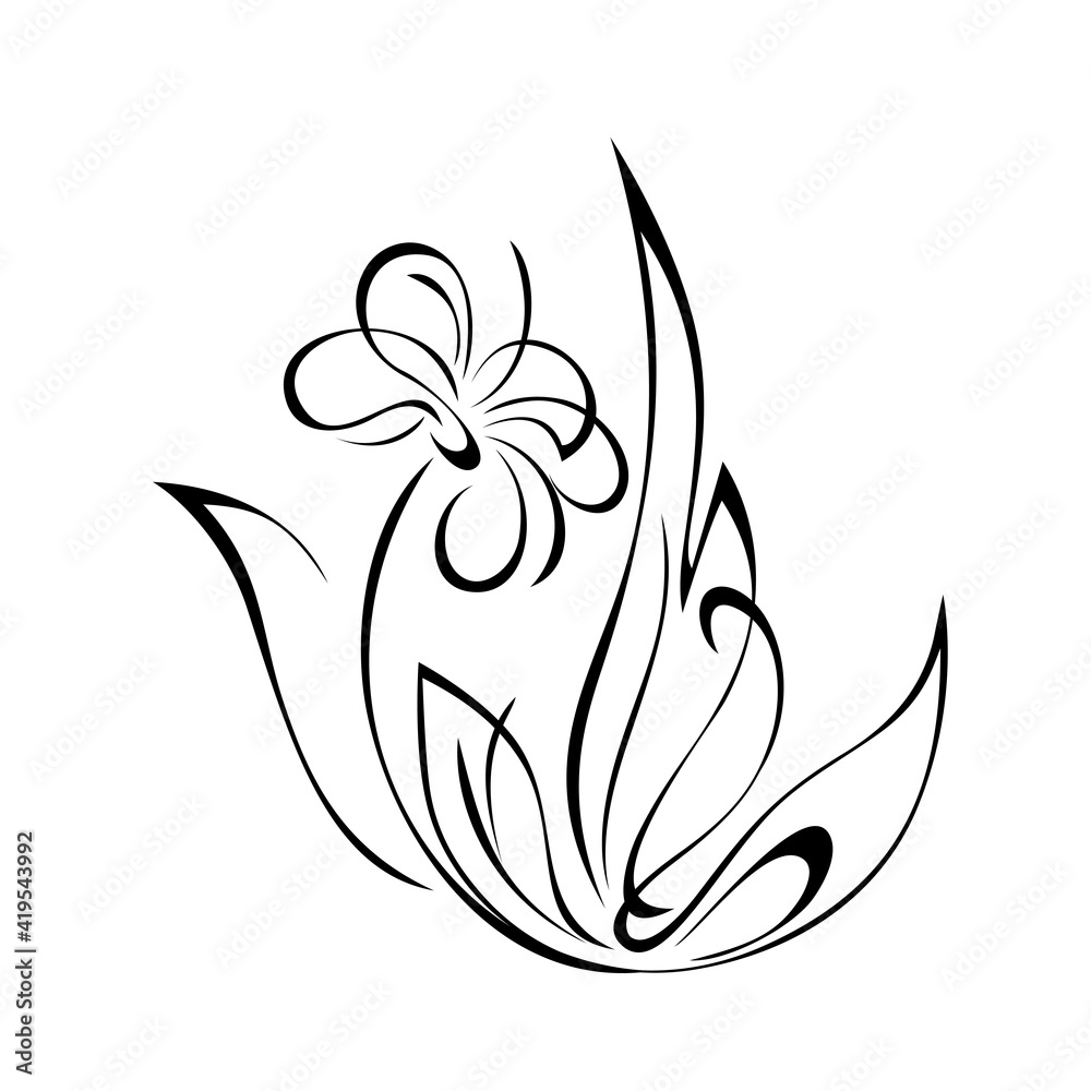 ornament 1606. stylized flower with large petals on the stem with leaves and curls black lines on a white background