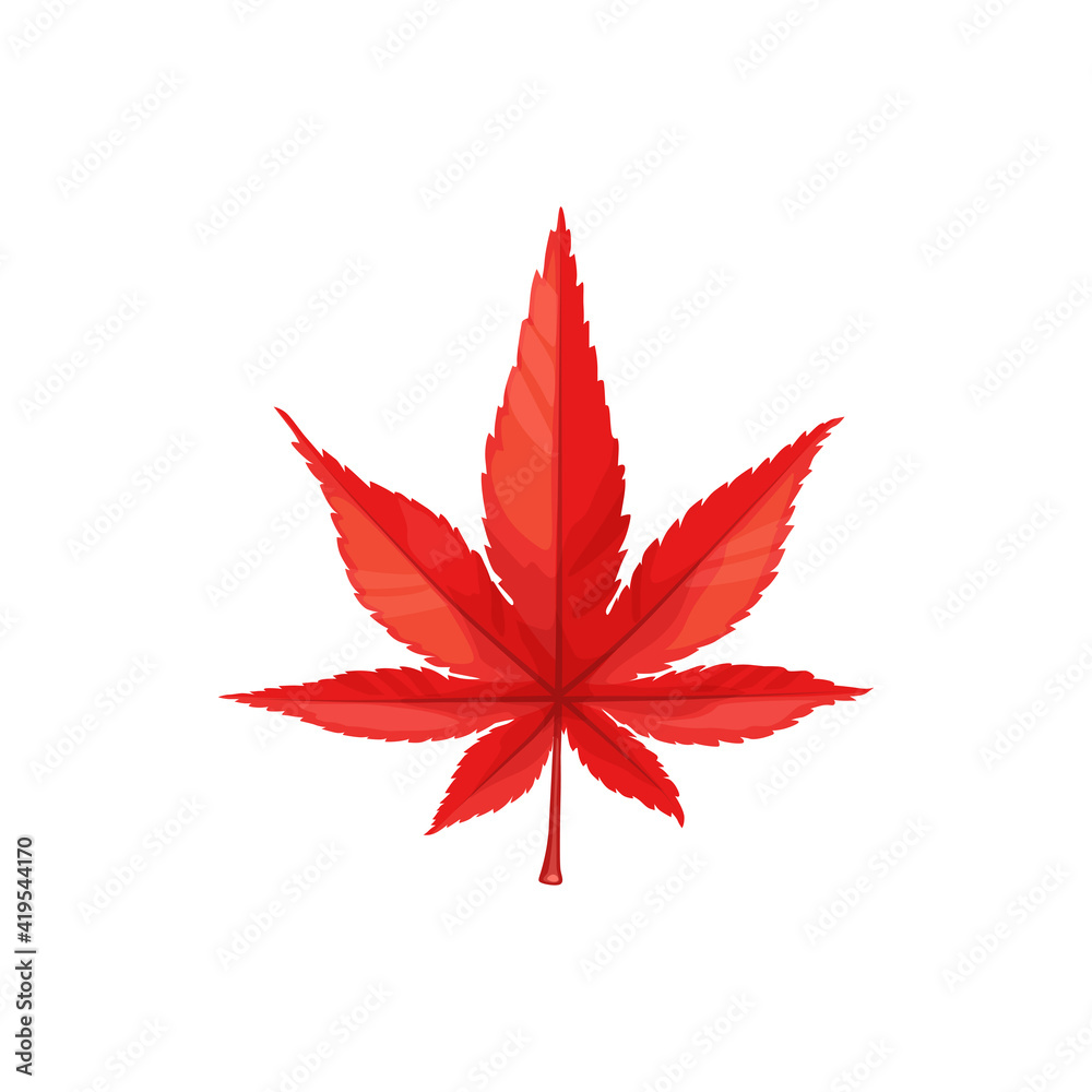 Maple leaf, autumn and fall tree leaves icon, vector isolated foliage. Red maple leaf, autumn season forest nature and Thanksgiving symbol Maple leaf, autumn and fall tree leaves icon, vector isolated foliage. Red maple leaf, autumn season forest nature and Thanksgiving symbol