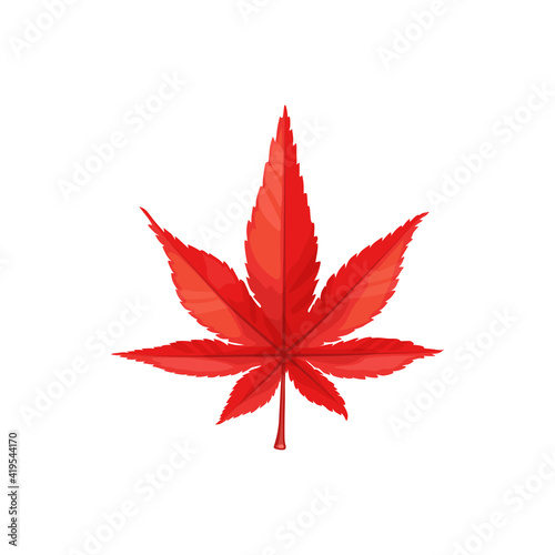 Maple leaf, autumn and fall tree leaves icon, vector isolated foliage. Red maple leaf, autumn season forest nature and Thanksgiving symbol