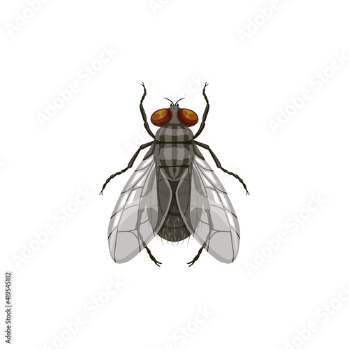 Fly icon, pest control and insect parasite, blowfly vector isolated. Pest control disinsection, disinfection and extermination symbol of parasite flies, domestic and agriculture insects disinfestation photo
