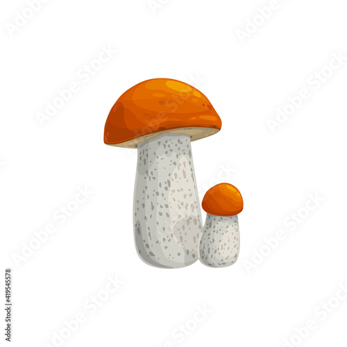 Mushroom boletus vector icon, cartoon vegetable or forest plant with orange cap and mottled stipe. Autumn season symbol, botanical object isolated on white background