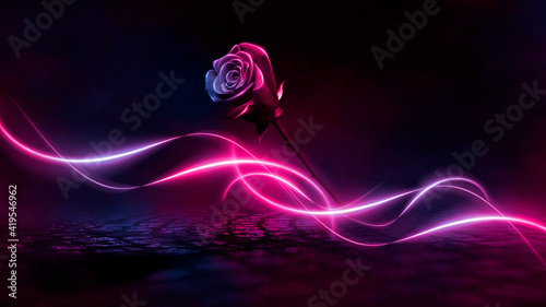 Neon rose and rays. Dark ni...