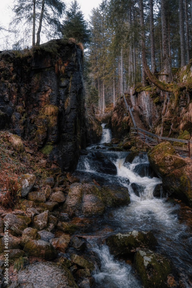 Obraz premium waterfall in the forest