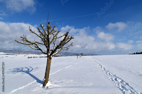 Schneelandschaft im Hunsrück © lichtreflexe