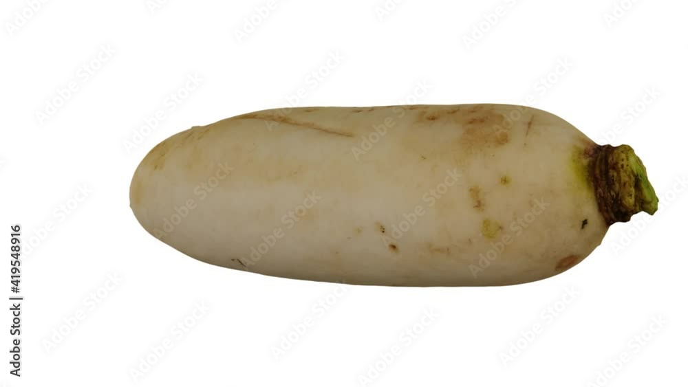Realistic render of a rotating Daikon (White Japanese Radish) on white background. The video is seamlessly looping, and the 3D object is scanned from a real daikon.
Realistic render of a rotating Daikon (White Japanese Radish) on white background. The video is seamlessly looping, and the 3D object is scanned from a real daikon.