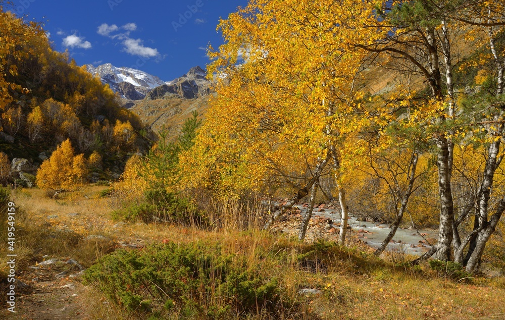 Autumn in mountains Autumn in mountains