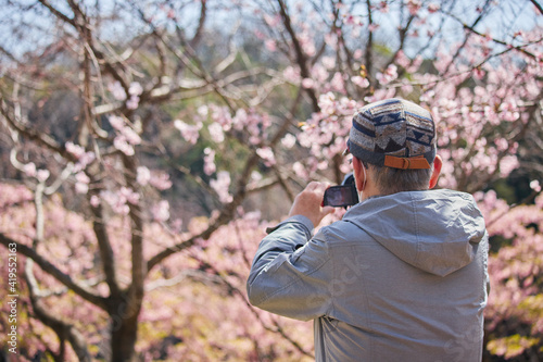 公園で満開の桜を撮影しているシニア男性の姿