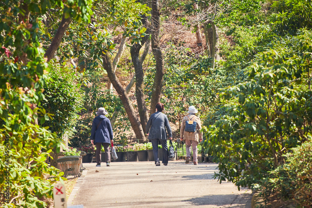 Obraz premium 春の公園で散策しているシニア女性たちの姿