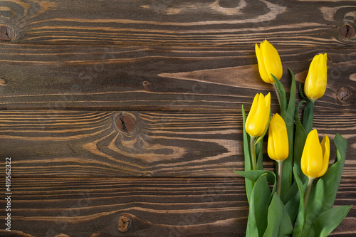 Five yellow tulips on brown wooden background, top view