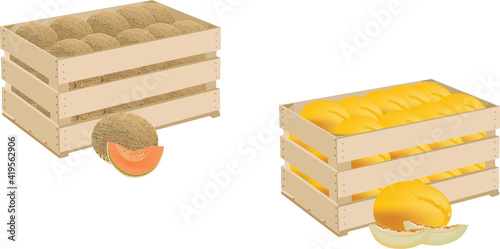 wooden box with various melons