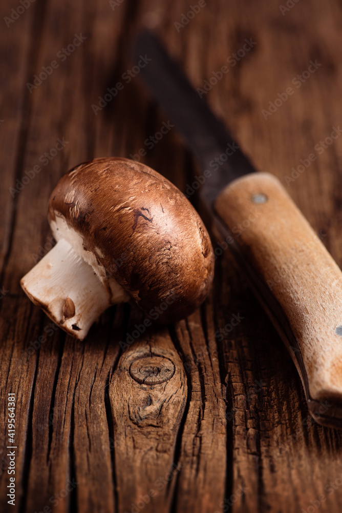 Cremini mushroom and kitchen knife on textured wood background. One baby portobello. Closeup.
