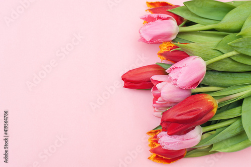 Fototapeta Naklejka Na Ścianę i Meble -  Bouquet of pink and red tulips on a pink background. Place for your text. Top view 