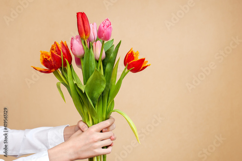 Wallpaper Mural Bouquet of tulips in hands on a neutral background Torontodigital.ca