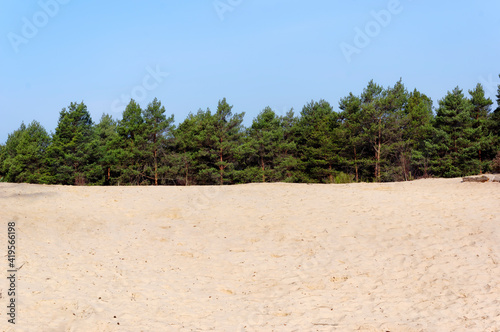 Valokuvatapetti Sand dunes of Beorlots in the Fontainebleau forest