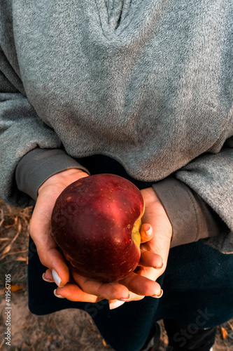Obraz na plátne person holding a apple