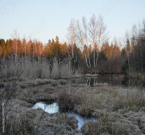 Moorlandschaft Eulenau im Winter