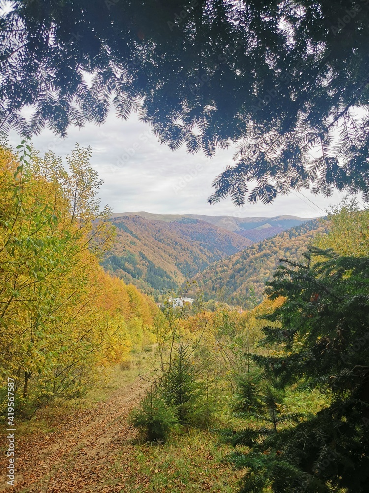 Naklejka premium Carpathians