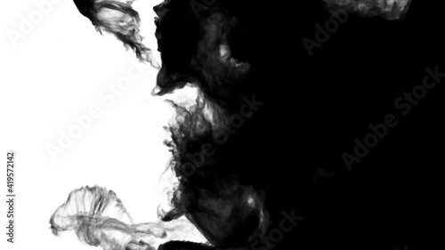 Smoke,Vapor,Fog - slow motion realistic smoke. Cloud for using in composition. Transition from black to white