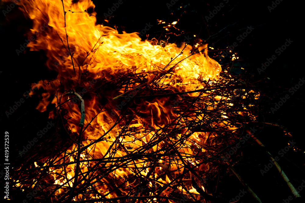 fire from burning branches is turned to the side, taking a curved shape fire from burning branches is turned to the side, taking a curved shape