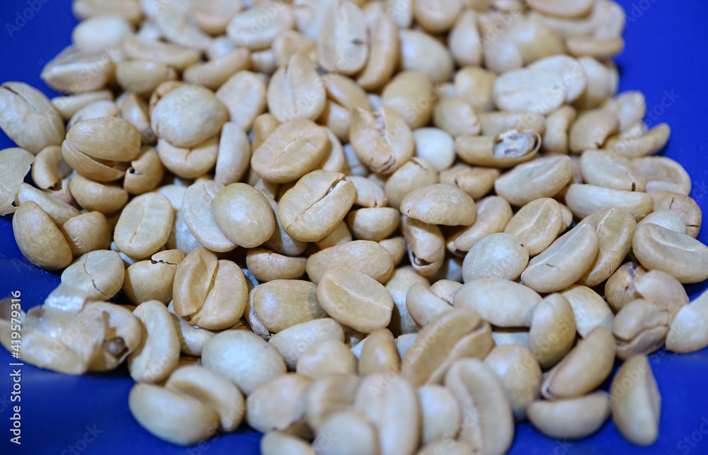 Closeup heap of parchment coffee beans before roasting process