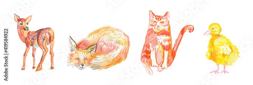 Panel kuchenny z motywem Set of illustrations with fox,cat,duck drawn with wax crayons.Clip art with animals on white isolated background  with pastel pencils.Design for social networks,posters,cards.