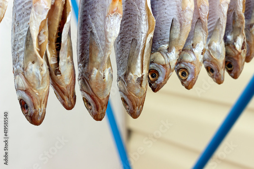 dried fish, salted roach dry on a wire photo