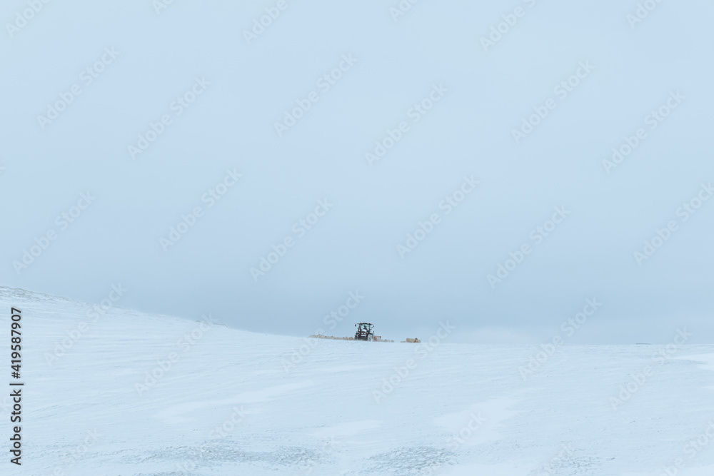 Tractor in a snow covered field feeding sheep