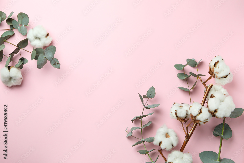 Fototapeta premium Beautiful eucalyptus and cotton on pink background