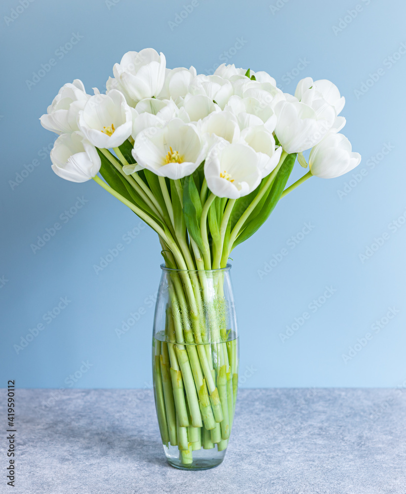 White tulips in transparent vase on color background. Spring concept.