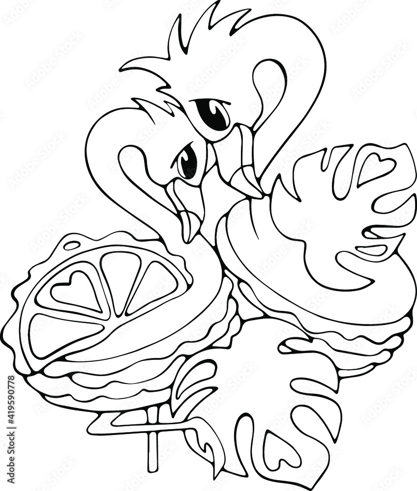 vector flamingo birds in love, tropical hand drawn line art isolated doodle illustration