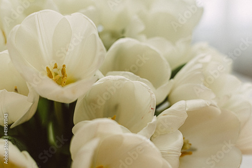 Fototapeta Naklejka Na Ścianę i Meble -  White tulips in transparent vase on color background. Spring concept. Retro film grain picture